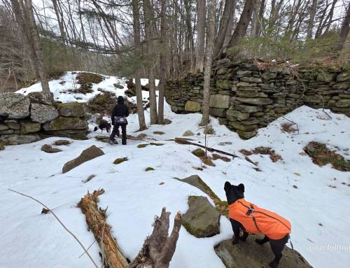 Knightville Dam History