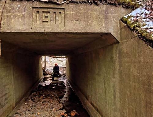 Huckleberry Trolley Lee Survey map 6