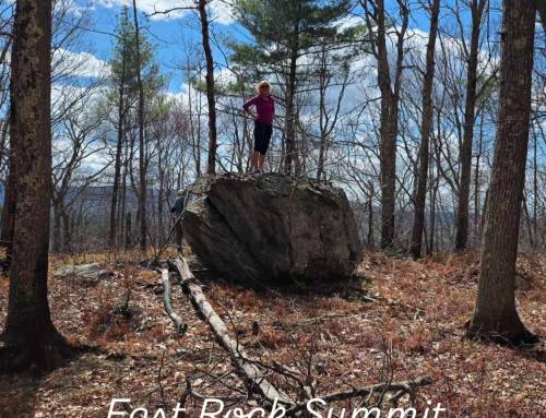 East Rock Summit