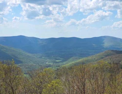 Opening of the Mount Greylock Auto Road