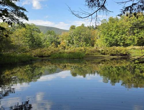 Drury Preserve