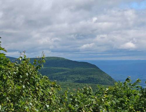 Bear Mountain CT