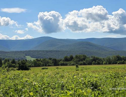Field Farm Reservation