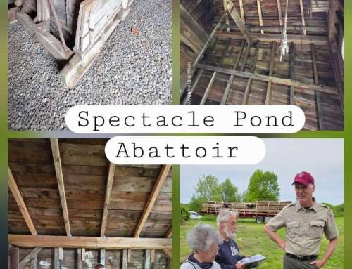 Spectacle Pond Abattoir
