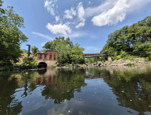 Westfield River Paddle at Woronoco