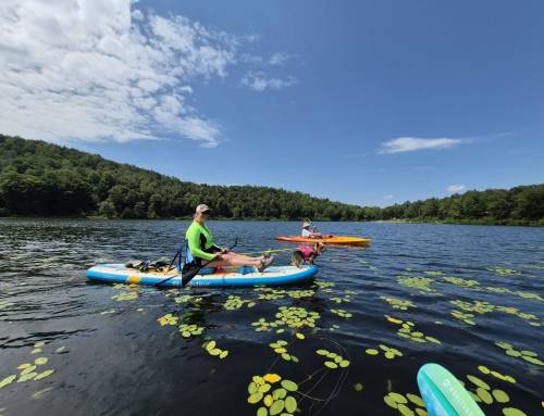 North Pond Paddle