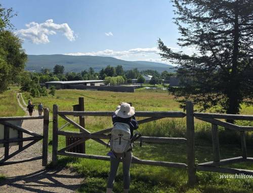 Stone Hill Trails in Williamstown