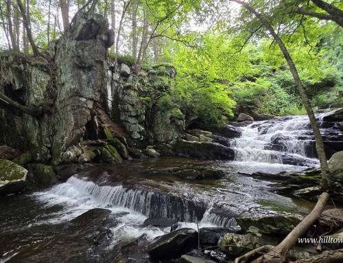 South Worthington Falls and Bradley Saw Mill
