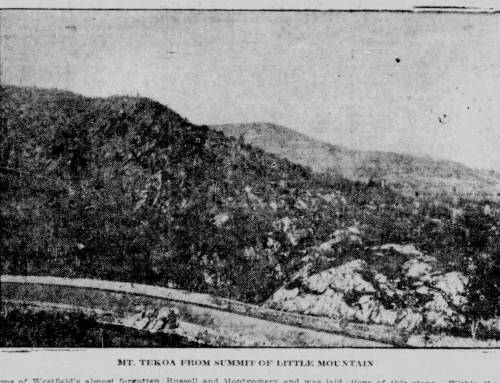 History of Tekoa Park