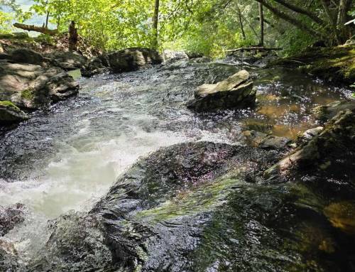 Bear Rock Falls