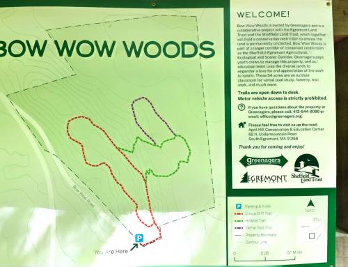 Bow Wow Woods