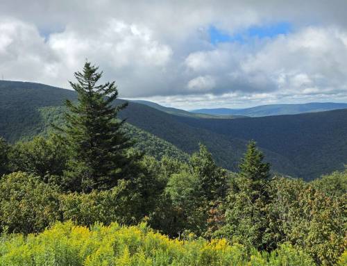 Fitch Overlook