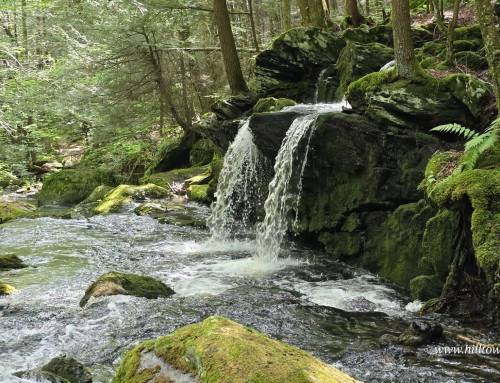 Sages Ravine