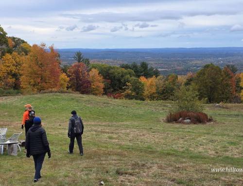 Domestic Violence Task Force Awareness Hike Fundraiser