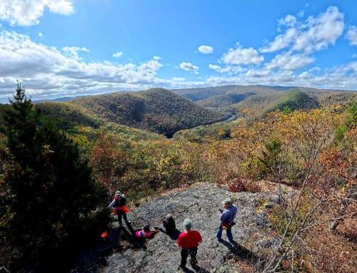 Fife Brook Lookout