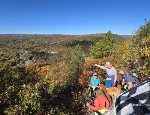 Shatterack Mountain Fall Beauty